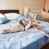 Гостиница Rusdom Sweet Apartments (Русдом Свит) на улице Карла Маркса в Бердске