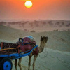 Отель Shivas Heritage and Sand Dunes, фото 15