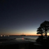 Отель Cove Cott, фото 17