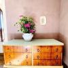 Отель Palazzolo Resort - Anghiari, фото 17