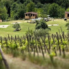 Отель Fattoria dellOrto degli Ulivi, фото 7