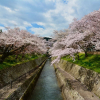 Отель Inase Otsu Machiya Bed & Breakfast, фото 21