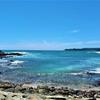 Отель Surf reef guest house, фото 18