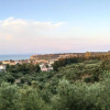 Отель Villa Zante Avia, фото 17