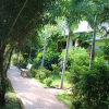 Отель Mai Phuong Binh Bungalow, фото 12