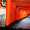 Отель Kyo no Yado Nishioji inn, фото 18