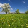 Отель Landgasthof Seelust, фото 29