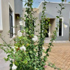 Отель Mundeli Homes Ltd, фото 1