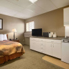 Отель Central Suite Hotel, фото 3
