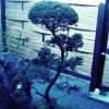 Отель Ryokan Denyou, фото 3