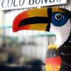 Отель CoCo Bongo Hostel, фото 40