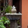 Отель Beautiful Newly Renovated House in the Center of San Miguel, фото 8