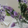 Отель B&B Bouquet di fiori, фото 11