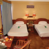 Отель Silver Swan Hotel, фото 2