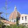Отель Florence Nice Flat, фото 1