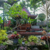 Отель Omah Mbah Mandor by The Lavana, фото 6