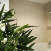 Отель SA Today Apartments Farnborough with Fibre Wi-Fi & Netflix, фото 21