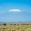 Отель Amanya 1-bed Leopard Family With Mt Kilimanjaro vi - Campsite, фото 13