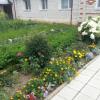 Гостиница Guest House on Pokrovskaya 22, фото 11