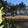 Отель Can Chumbera Formentera, фото 3