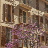 Отель Boutique Hotel Suite Apartment 2 Bedrooms in Palma, фото 9