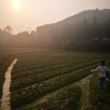 Отель U Dot Farmstay, фото 3