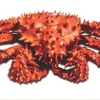 Отель Onsen Minshuku Kitanodaichi, фото 10