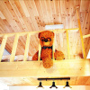 Отель Geoje Teddy Bear Pension, фото 2