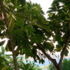 Отель WOW Relax+Terrace+3 minutes to Beach+10 min City, фото 21
