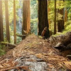 Отель Heartwood Mountain Sanctuary, фото 22