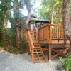Отель Tofino Forest View Cabin by Cox Bay, фото 1