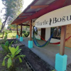Отель Casa Turtle Bogue - Hostel, фото 11