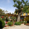 Отель PFA Hotel - Isola d’Elba, фото 7