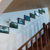 Отель Thilina Hotel Nuwara Eliya, фото 15