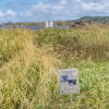 Отель Kapalua Bay Villas 35g2, фото 12