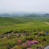 Отель Jeju Mimong, фото 20