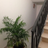 Отель Mirage B&B, фото 39