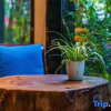 Отель Mosu | Mount Huangshan Street, Designer Zhenpin B&B (Tunxi Old Street Store), фото 10