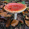 Отель Lindes Hof, фото 1
