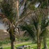 Отель Ibis Styles Port Hedland, фото 15