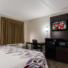 Отель La Quinta Inn & Suites New Britain/Farmington, фото 5