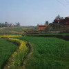 Отель The Little House in the Rice Fields, фото 12