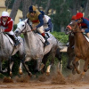 Отель Oaks Beirut, фото 19