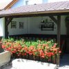 Отель Pension Begonie, фото 15