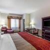 Отель Quality Inn & Suites, фото 2