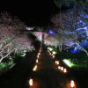 Отель Okinawa Freedom, фото 33