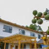Отель Mianyang orange courtyard home stay, фото 16