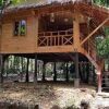 Отель Tree House Bungalows Resort, фото 19