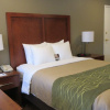 Отель Comfort Inn Bishop, фото 27