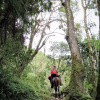 Отель Finca Los Arboles, фото 17